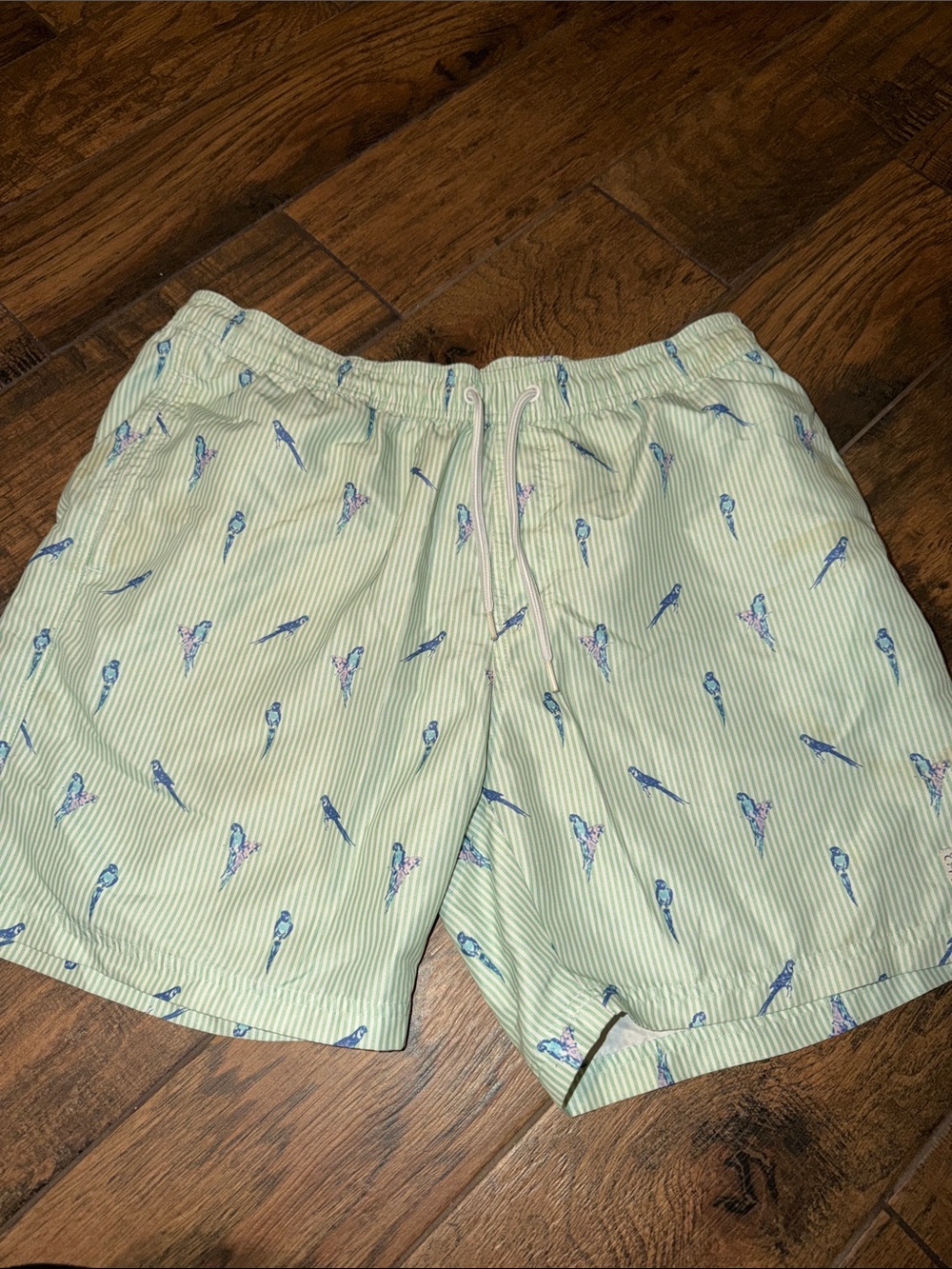 Izod Light Green Striped Swim Trunks with Blue Parrot Motif
